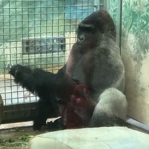 Meet your Posher, Dale